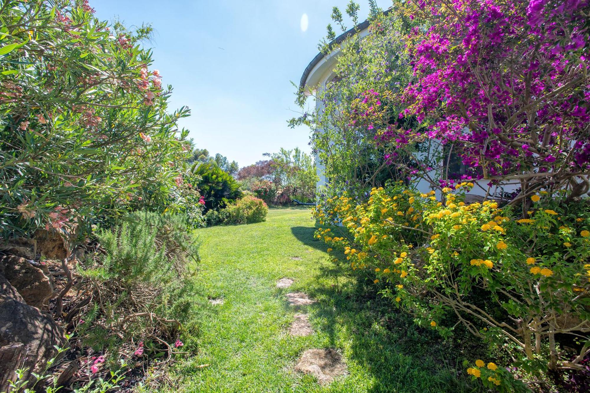 Sardinia Re - Villa Fioretta Flowers Apartments Olmedo Exterior foto